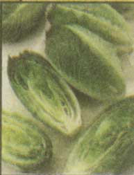 نکات خانه داري