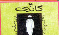 معرفی کتاب