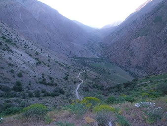 اگر اهل سفرید
