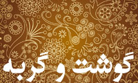 گوشت و گربه