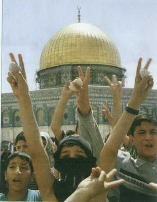 بر هم زننده معادلات دشمن 