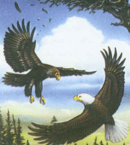 عقاب کوچولو