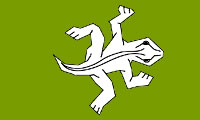  مارمولک هاي رنگارنگ