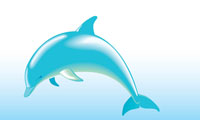  دُلفين