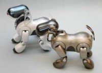 حکمرانی روبوت ها در هزاره سوم