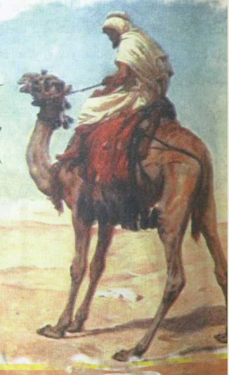ارزش کرامت انساني ارزش کرامت انساني