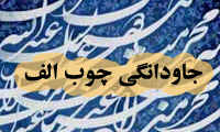 جاودانگي چوب الف