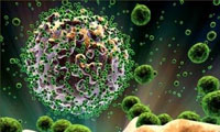 ويروس HIV چيست؟ 