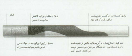در جست و جوي سيگارهاي سالم