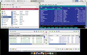 10 توزیع ناشناخته لینوکس (2)
