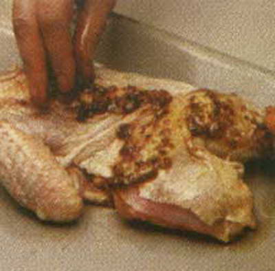 مرغ گريل شده 