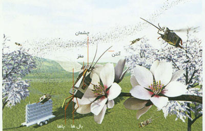 روبات پرنده کوچک