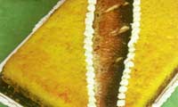  ته چين قالبي ماهي