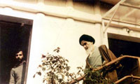 اسنادي از نوفل لوشاتو