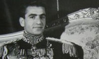من محمدرضا 22 سال دارم