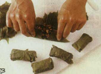 دلمه برگ مو