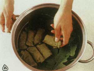 دلمه برگ مو