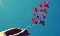 او می آید