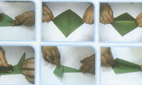 گل لاله هاي کاغذي