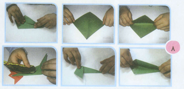 گل لاله هاي کاغذي