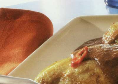 مرغ سوخاري با رب انار و گردو