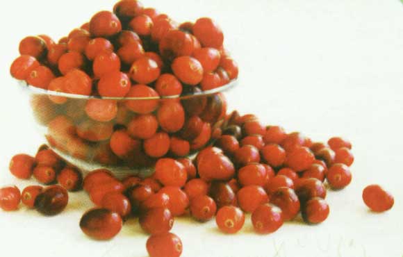 با اين سنگ هاي بي رحم چه کنيم؟