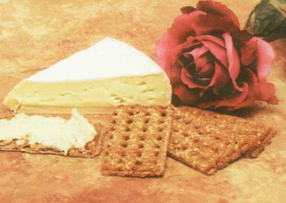 و اين بار موريانه اي با نام استئوپروز