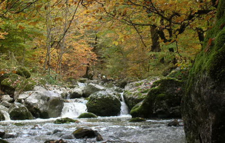 هزار رنگ راشستان