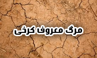 مرگ معروف کرخی