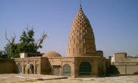مهمان بروجردی ها