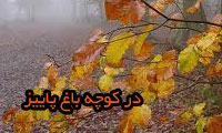 در کوچه باغ پاییز