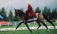 سب اصیل را بنگر