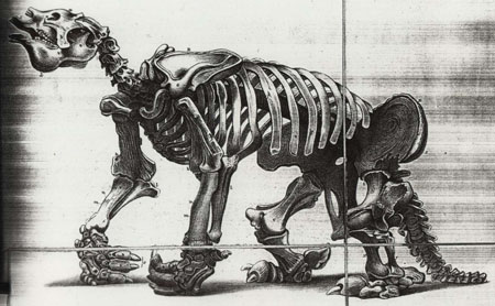 داروین دور دنیا!