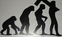  آیا جد انسان میمون بود؟