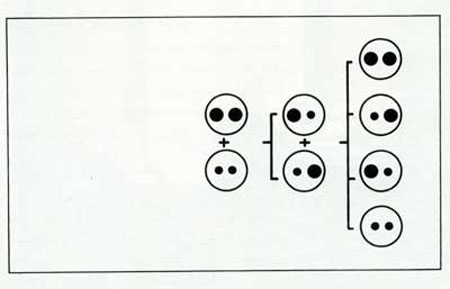 داروینیسم پس از داروین