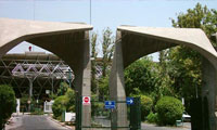 دانشگاه و جامعه