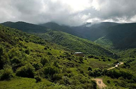 سبز باران