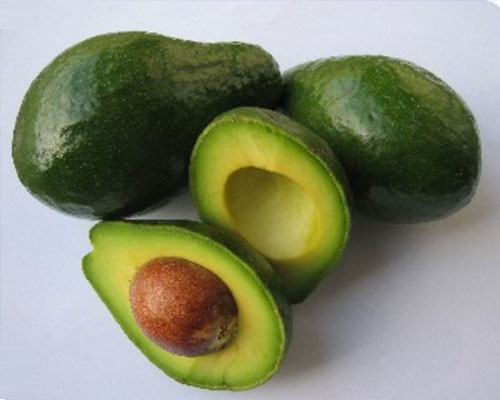 آووکادو علیه سرطان