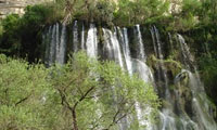  برشانه های شوی