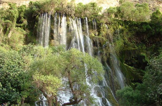 برشانه های شوی
