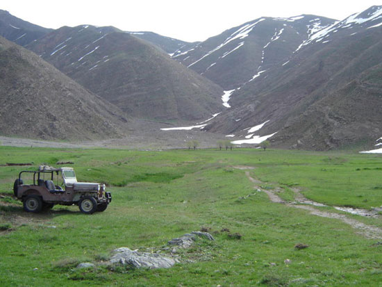 هوای خوب هویج