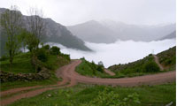 جانان هریجان