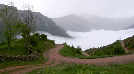 جانان هریجان