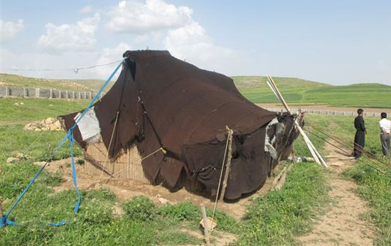 زیر سقف شاهسون