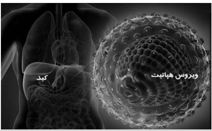 وقتی بزرگترین غده بدن رنجور می شود