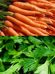 یک شام بلژیکی