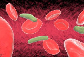 بارداری کم‌خونمان می‌کند؟