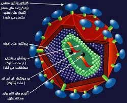 بیماری‌ای به نام ایدز