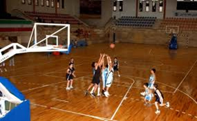 واقعیت‌هایی درباره‌ی بسکتبال