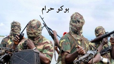 وحشت بدون مرز